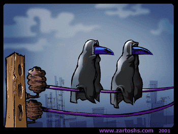 pics-crow