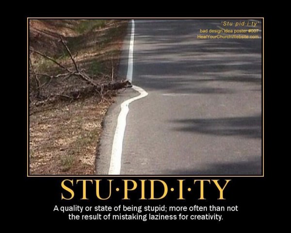 Stupidity