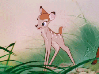 bambi
