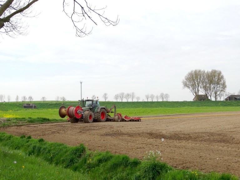 Oude Beerpolder