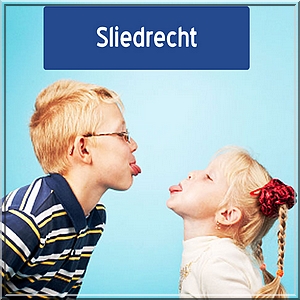 sliedrechtse politiek