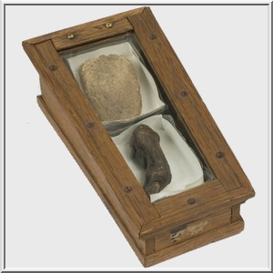 tong_en_teen_in_kleur